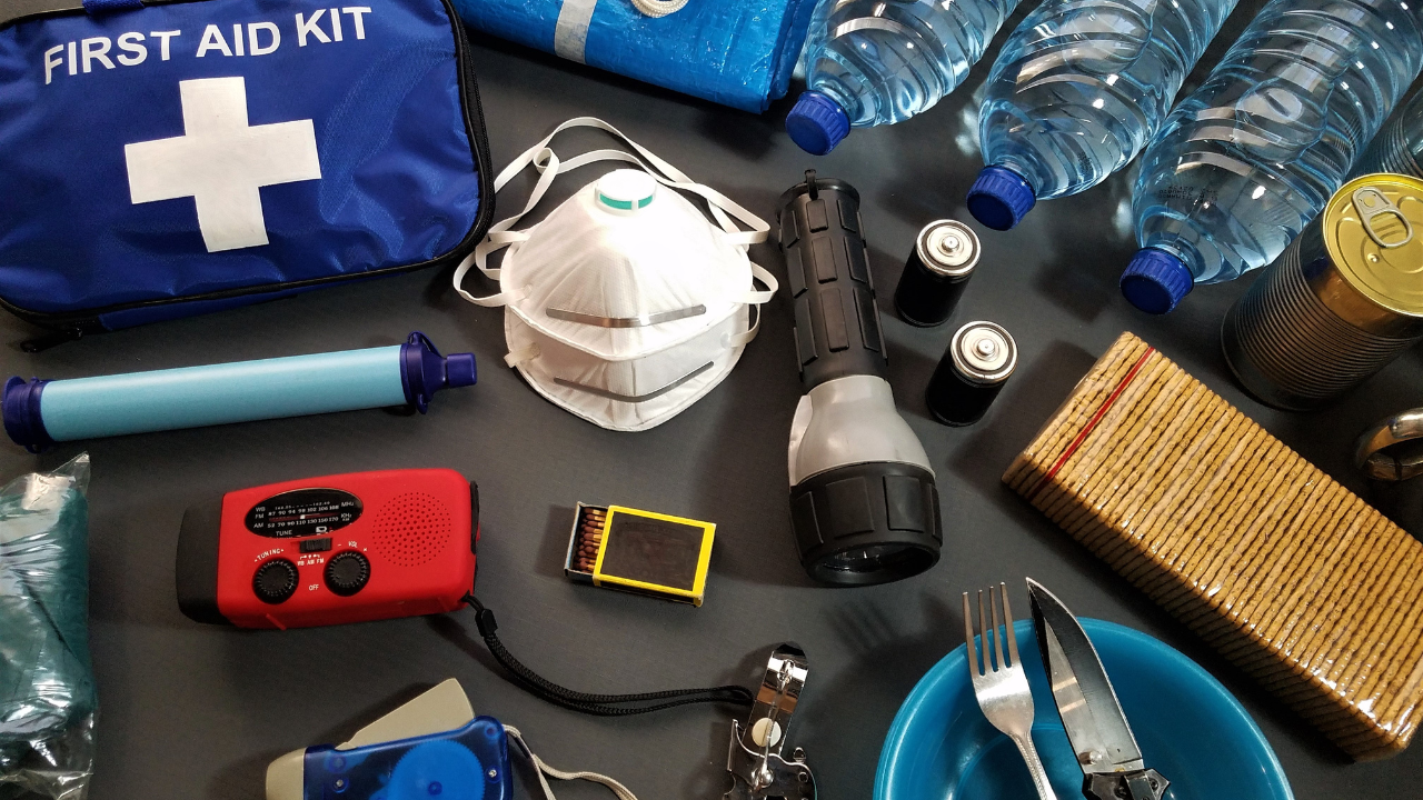 Disaster Preparedness for Pet Owners