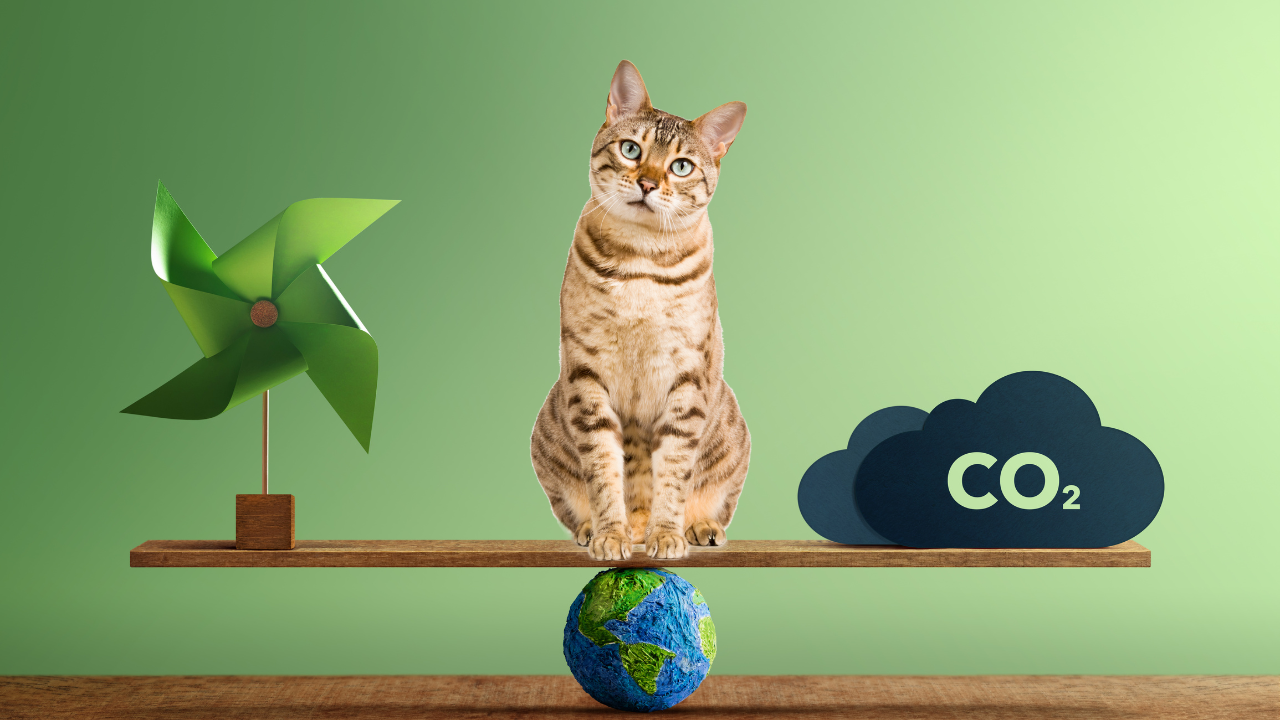 Decrease Carbon Footprint: Easy Tips for Pet Owners