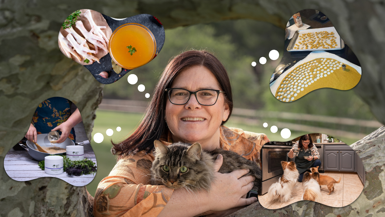 Packaging and Food Waste Reduction Strategies for Pet Owners