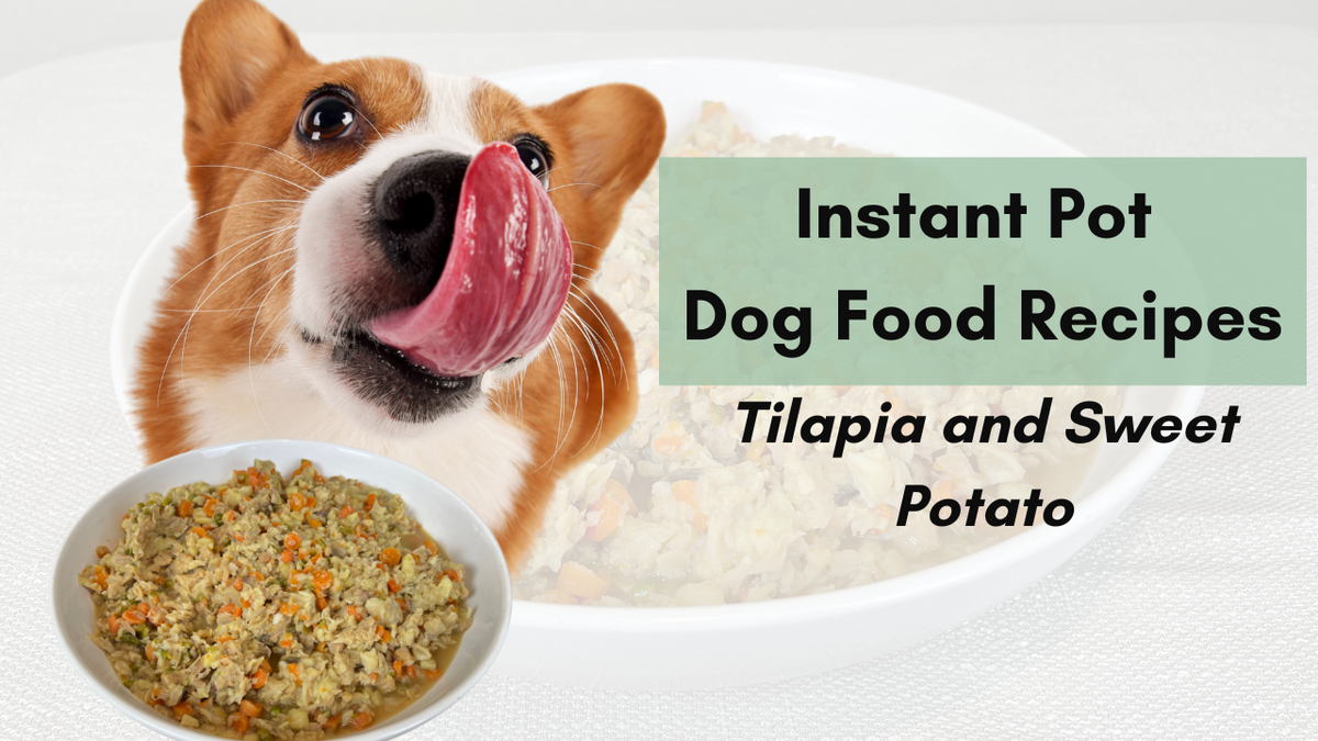 Instant Pot Dog Food Recipes Tilapia and Sweet Potato Holistic