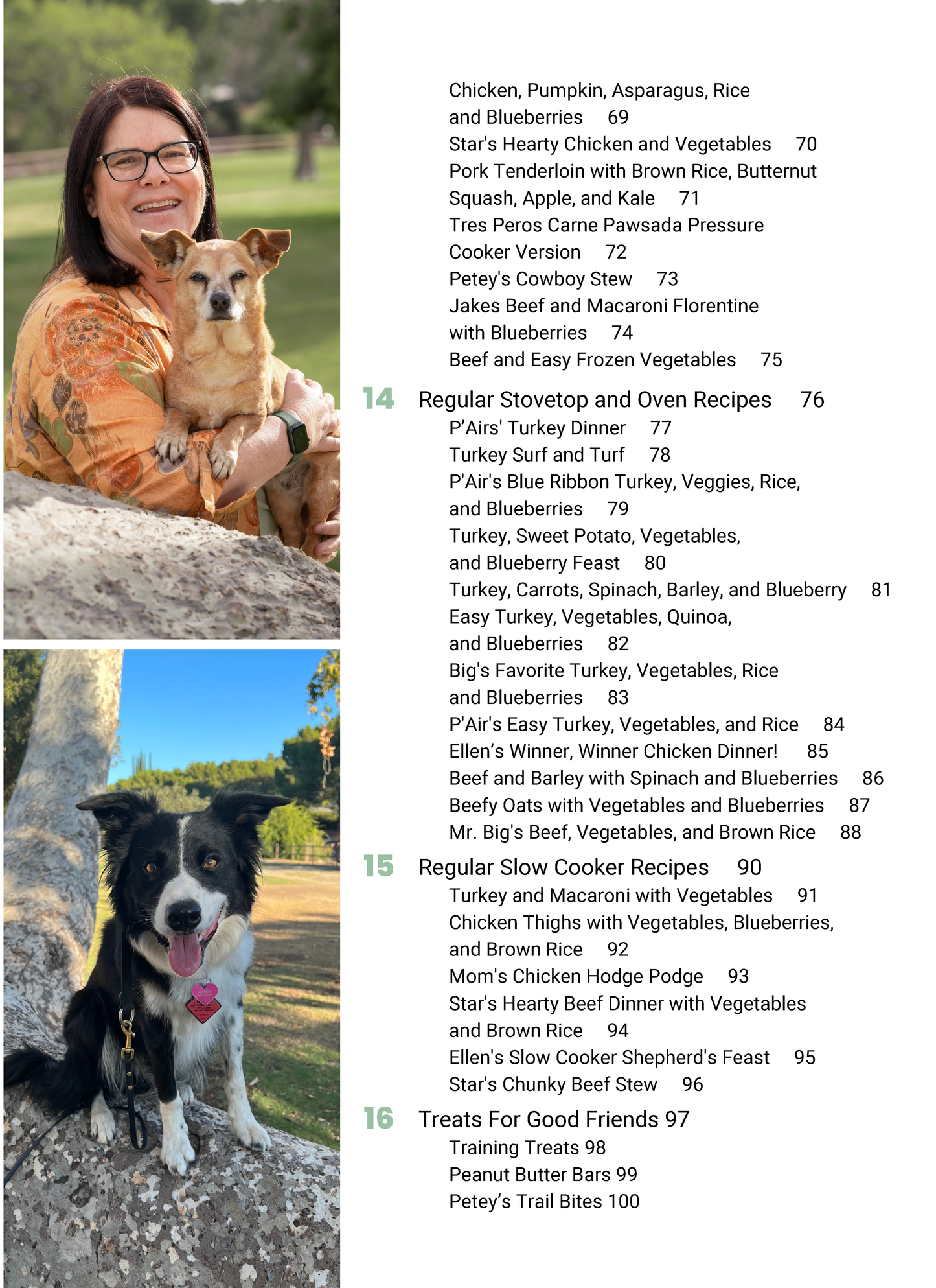 PDF Digital Download Cookbook - The Holistic Vet Blend Cookbook for Dogs - Holistic Vet Blend