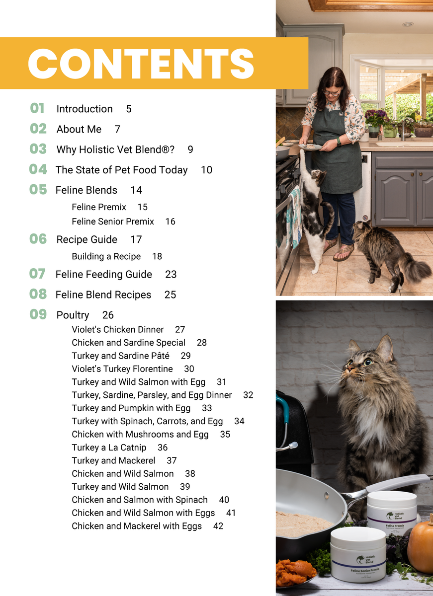 PDF Digital Download Cookbook The Holistic Vet Blend Cookbook for Cats Holistic Vet Blend