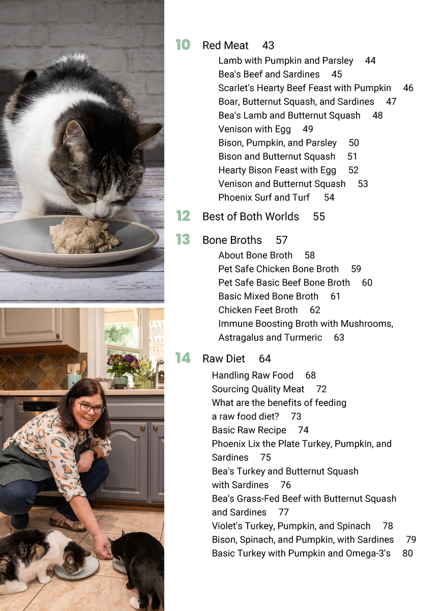Cat food cookbook hot sale