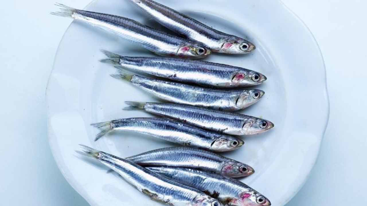 fish on a plate