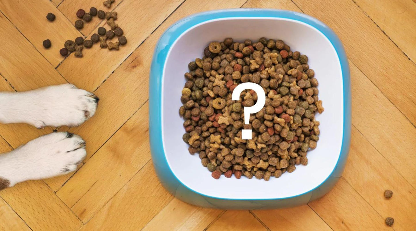 Dog food kibble in a bowl with a question mark, representing FDA recall of Sportmix dog food.