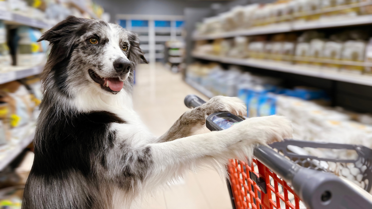 Dog food shopping best sale