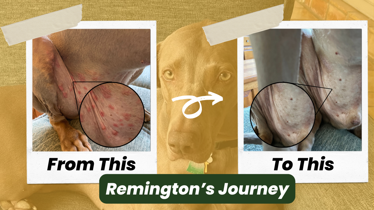 Remington's Before and After Transformation