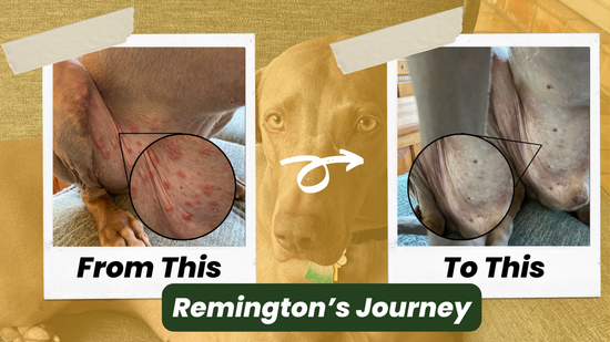 Remington's Before and After Transformation