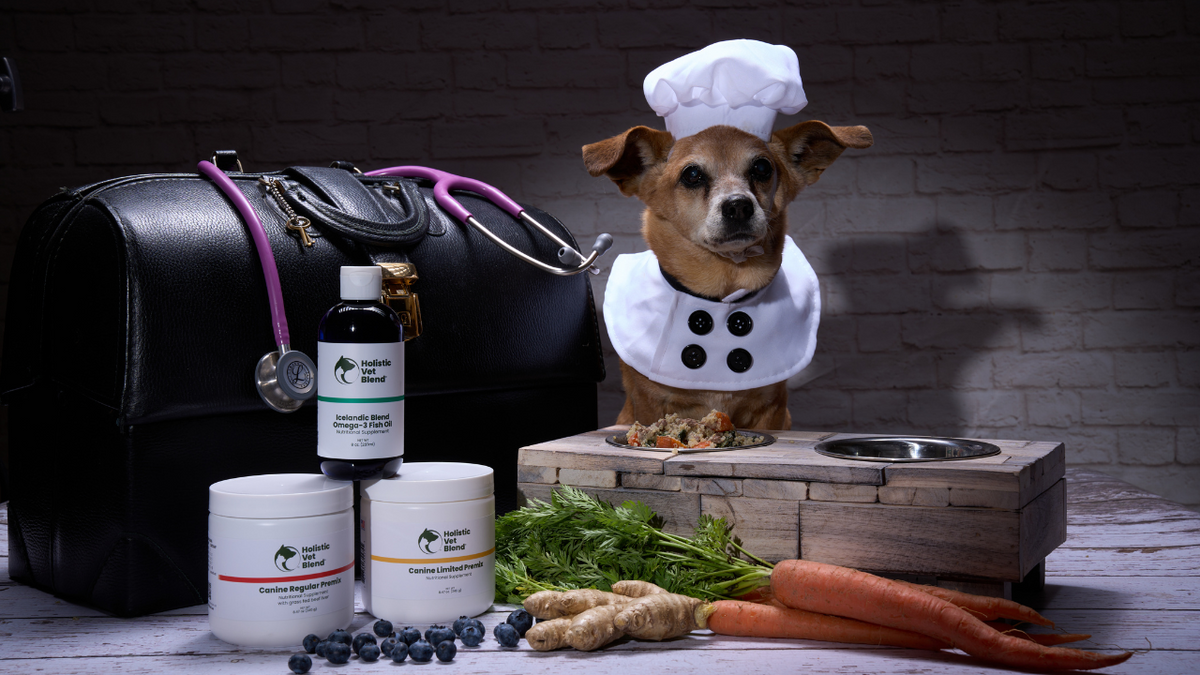 Picture of Superfood Homemade Dog Food Recipe for Senior Dogs | Holistic Vet Blend