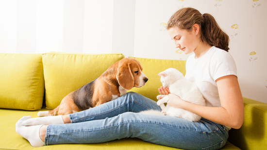 10 Essentials of Responsible Pet Ownership