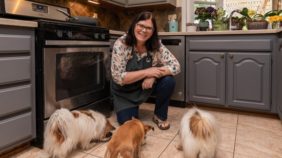 Homemade Dog Food for Skin Allergies: Expert Guide