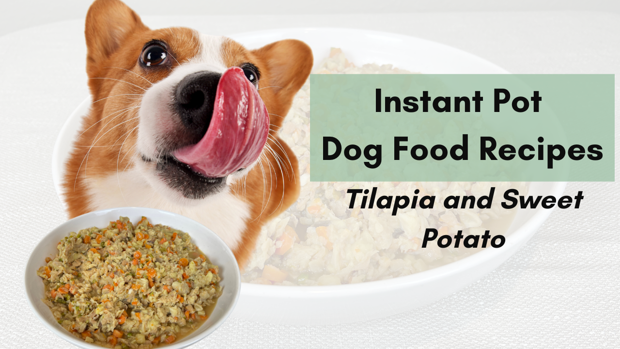 Instant Pot Dog Food Recipes | Tilapia and Sweet Potato