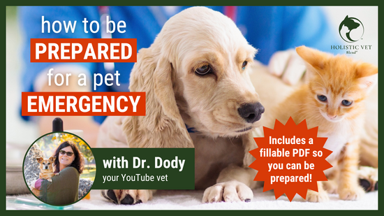 8 Tips to Prepare for any Pet Emergency