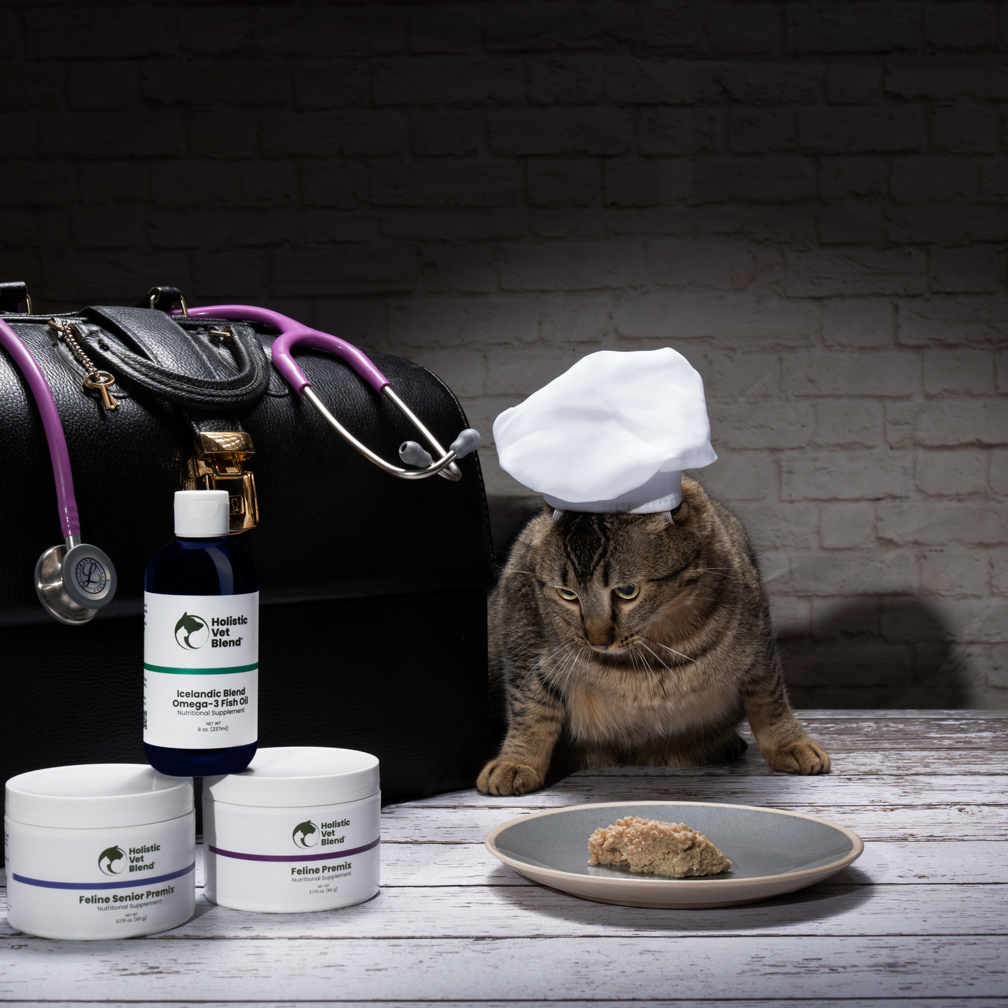 Holistic blend cat food best sale