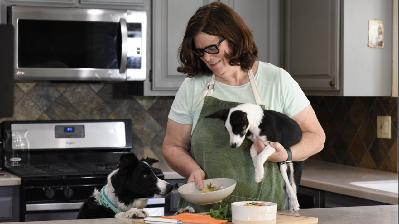 The Puppy Bundle with Icelandic Blend Omega-3 Fish Oil