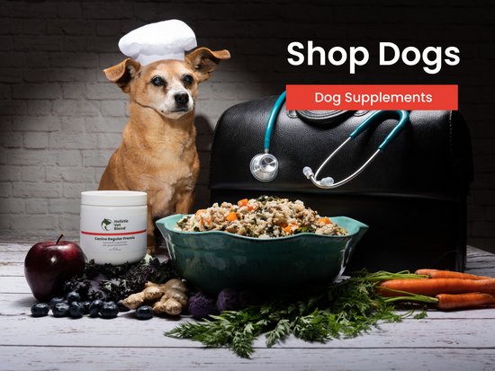 Holistic Homemade Pet Food Human Grade Dog Food Cat Food