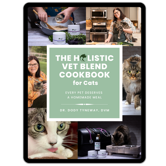 PDF Digital Download Cookbook - The Holistic Vet Blend Cookbook for Cats - Holistic Vet Blend