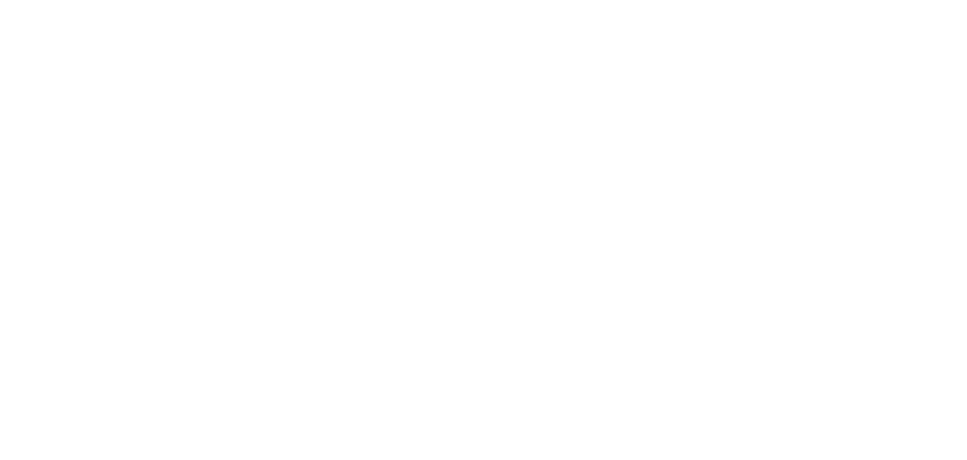 Holistic Vet Blend