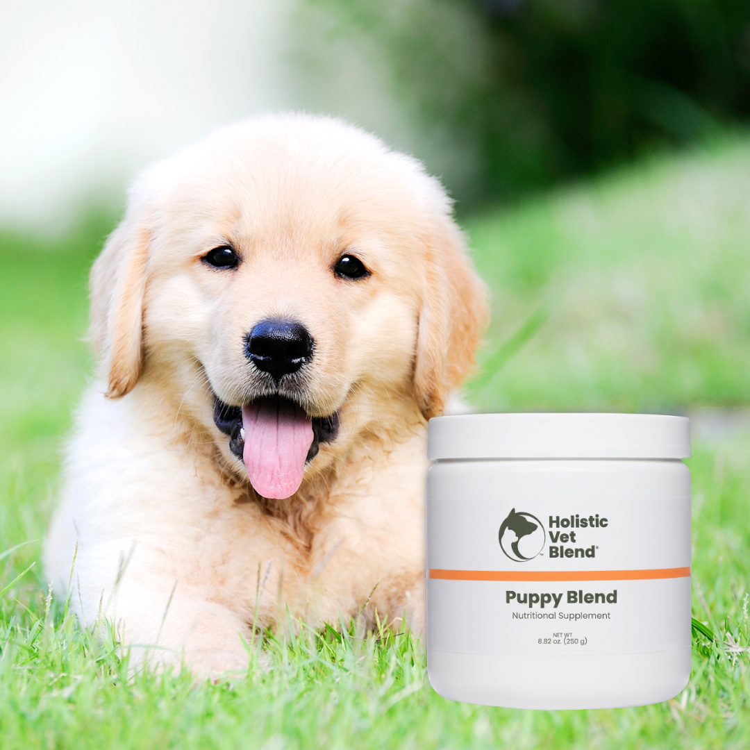 The Puppy Bundle with Icelandic Blend Omega-3 Fish Oil