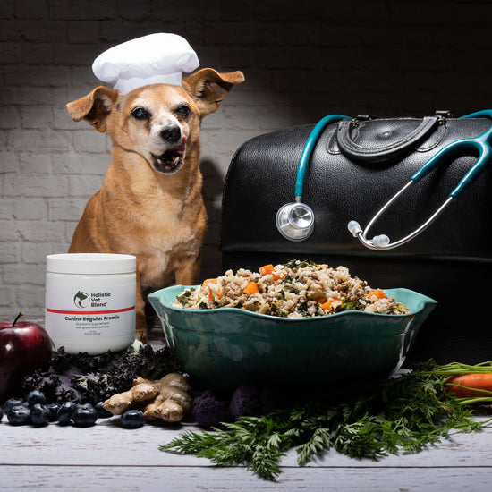 Load image into Gallery viewer, Canine Regular Premix with Grass-fed Beef Liver - Holistic Vet Blend
